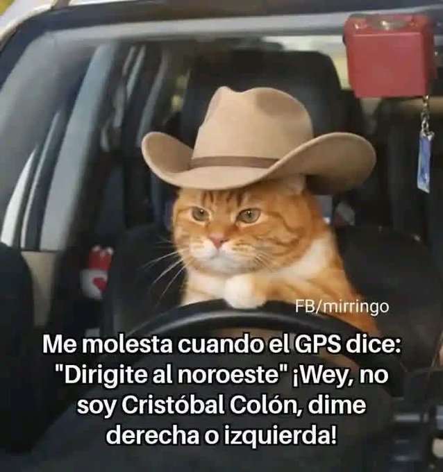 Corazón Gatuno tweet media