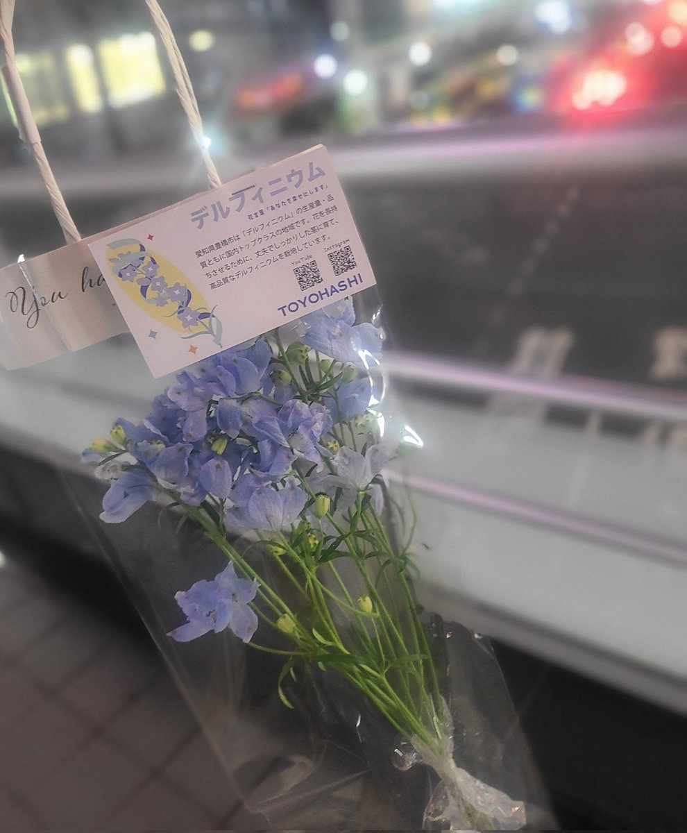 冬 tweet media