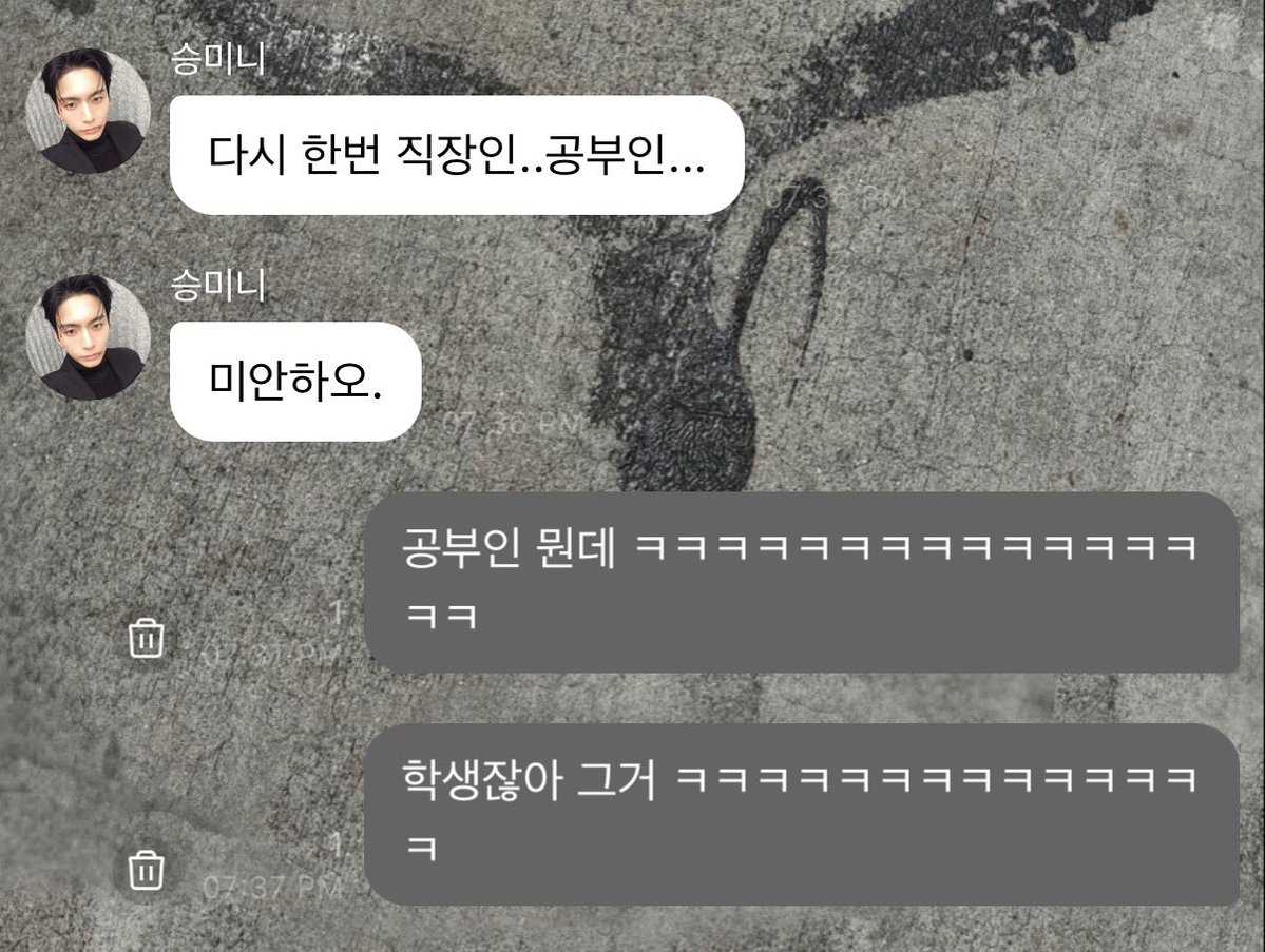 로라 tweet media