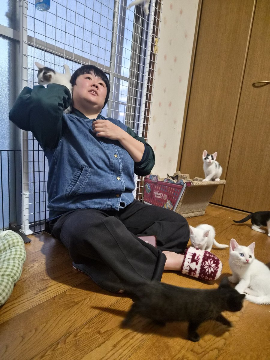 やす子 tweet media