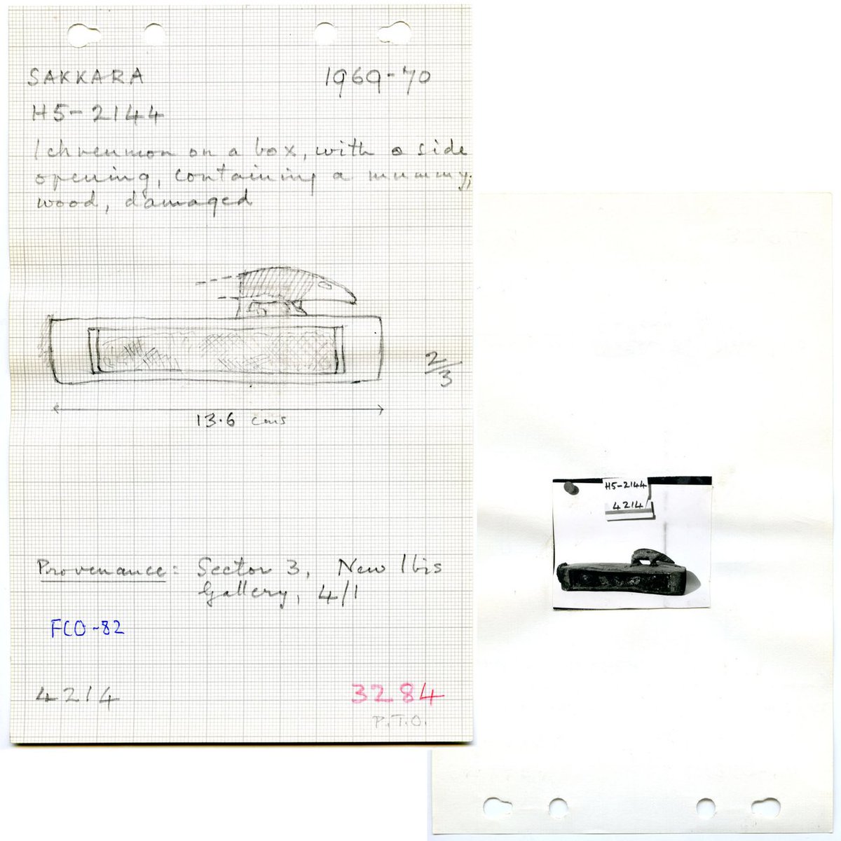 TheEES's tweet photo. May’s spotlight in our #ADozenDiscoveries series is an object card from @TheEES’ 1969-70 excavation season at Saqqara’s Sacred Animal Necropolis, recording a wooden box with a carved ichneumon, or Egyptian mongoose (SAQ-SAN.OC.69-70.4214).
ℹ️Find out more on Facebook or Instagram https://t.co/aOtjxeJD21