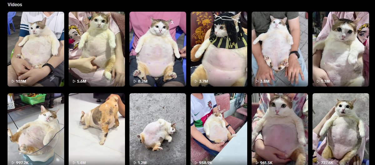 GoblininCrisis's tweet photo. btw just check the posts

some are on 8-10M views already

$CHUBBY makes more sense than an AI generated elephant https://t.co/89APWIOYXu
