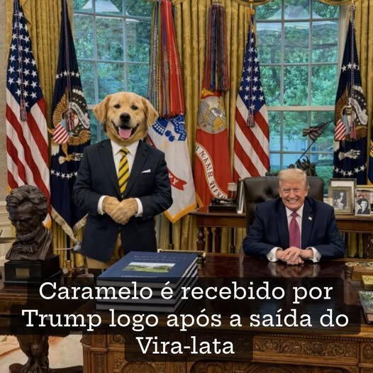 orlandoguerreir's tweet photo. https://t.co/EJeh3DmOnw
