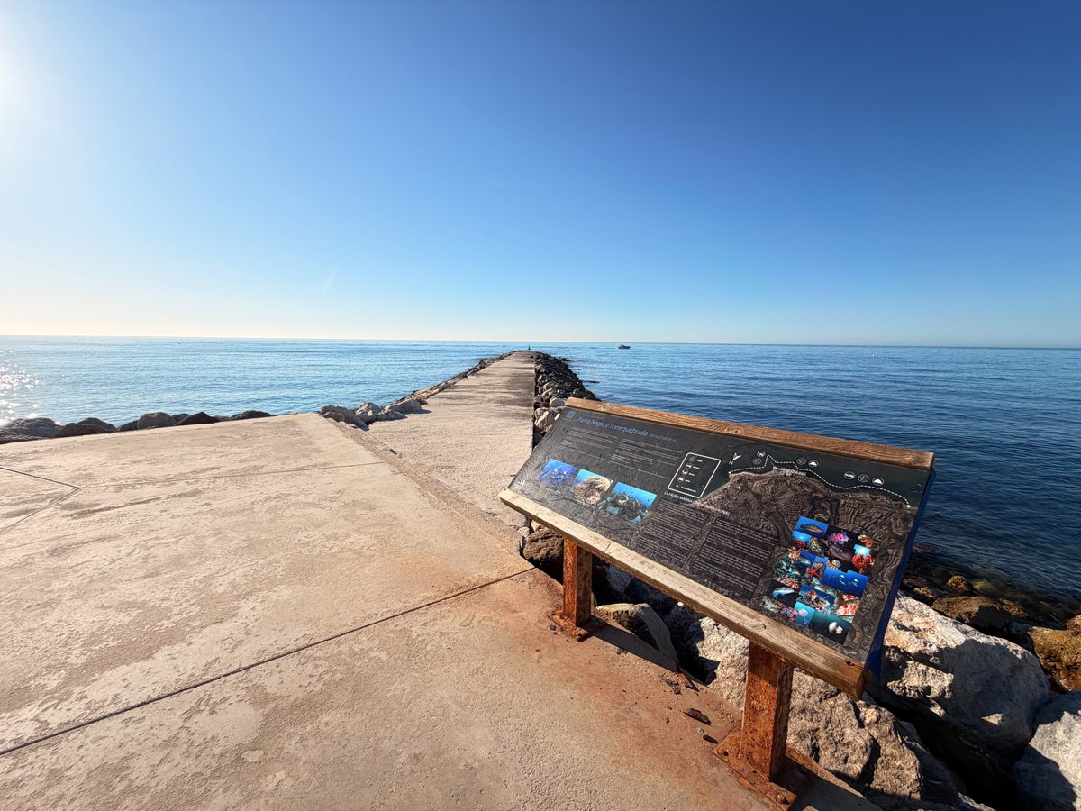 SendaLitoral's tweet photo. 🌊 Donde el Mediterráneo se encuentra con el horizonte infinito.

La #SendaLitoral también es esto: caminar junto al mar, descubrir rincones únicos y detenerse a contemplar la calma de la costa de Málaga 💙

📍 Benalmádena https://t.co/74o69mYTCY