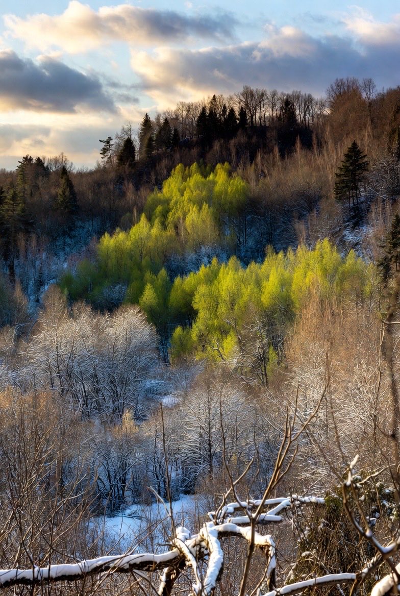 pseudonhm's tweet photo. Canada’s Shifting Seasons

Canada’s four seasons are still here, but climate change is making them more erratic, with harsher cold snaps and hotter summers becoming more noticeable.

And then there’s wildfire season. https://t.co/eLGmq7rNfY