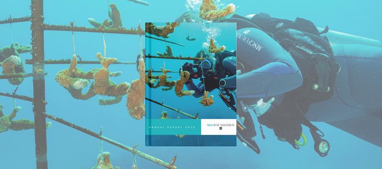 MSC_Group_'s tweet photo. .@MSC_Foundation marks 2025 as a defining year, uniting its programmes and partnerships to deliver measurable impact. This is captured in a 90-page report featuring 20+ partner perspectives and global outcomes for people and ecosystems. Learn more:
https://t.co/csasdCQuYw https://t.co/Lq3icrTMdL