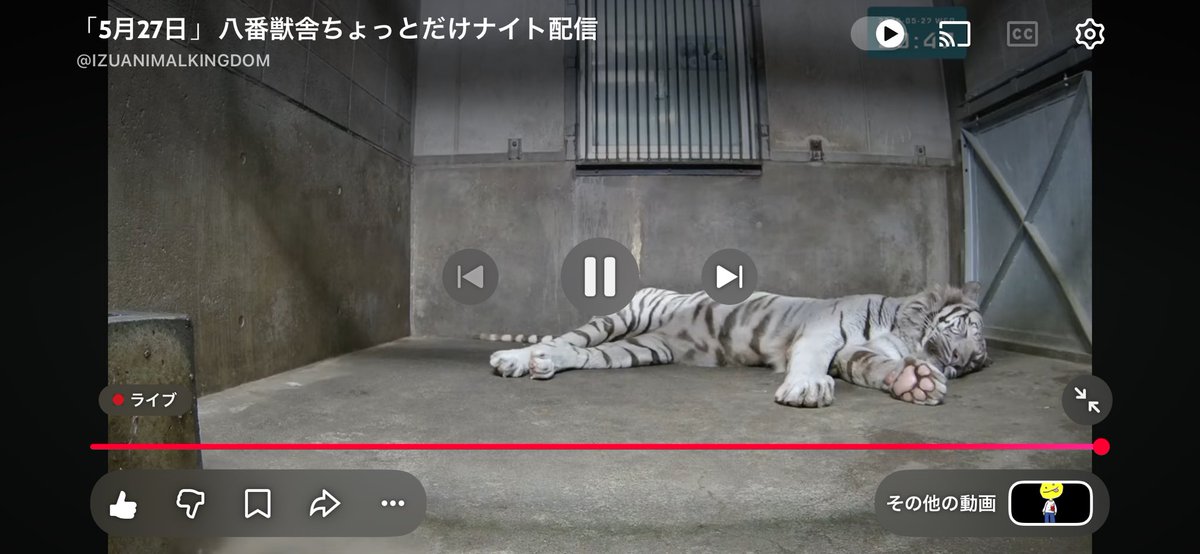 かなで tweet media