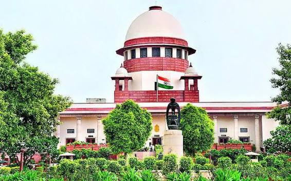 Lutyens Media tweet media