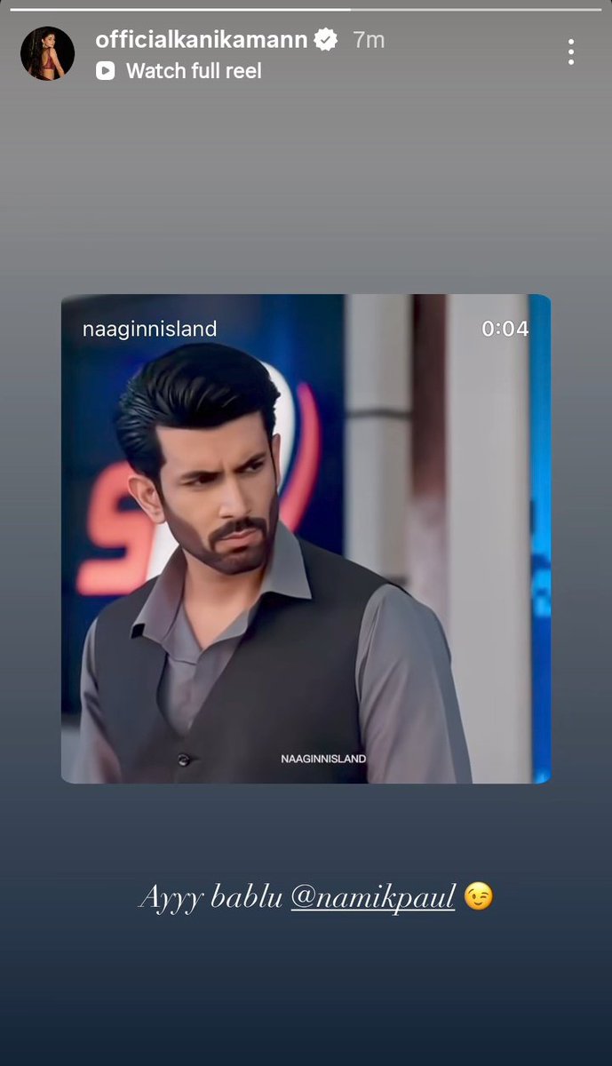 Namik Paul Army tweet media