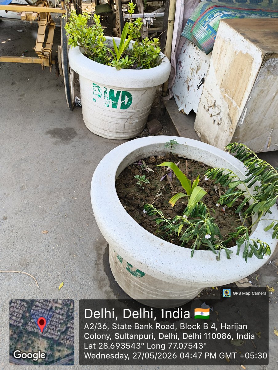 rajanblog's tweet photo. All the plant pots from Sultanpuri Jagdamba Market to Jalebi Chowk were shifted to the roadside during construction. the pots are still lying at the road corners without maintenance plants drying out. It is requested that the plant pots be re-shifted on the road divider @DelhiPwd https://t.co/T55KHoX9EV