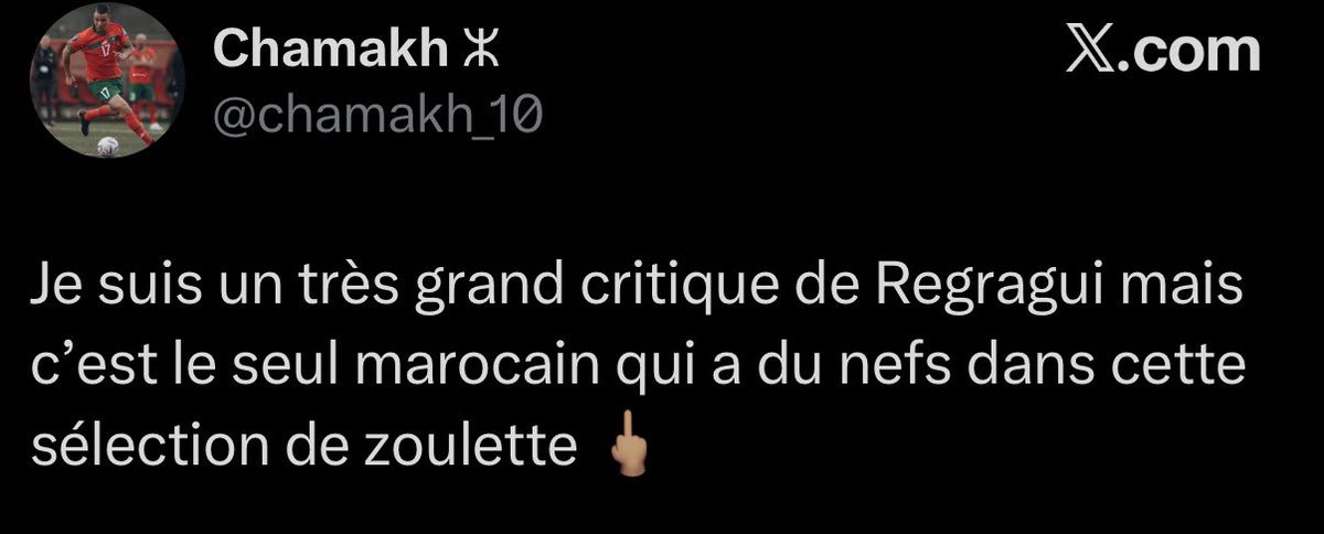🇵🇸 tweet media