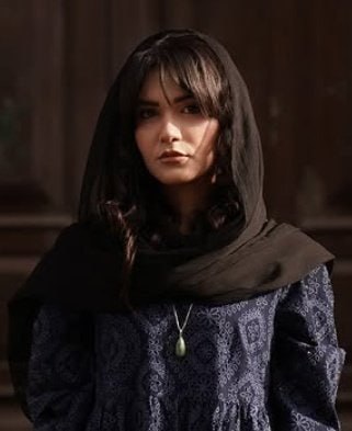 Meral Amir tweet media