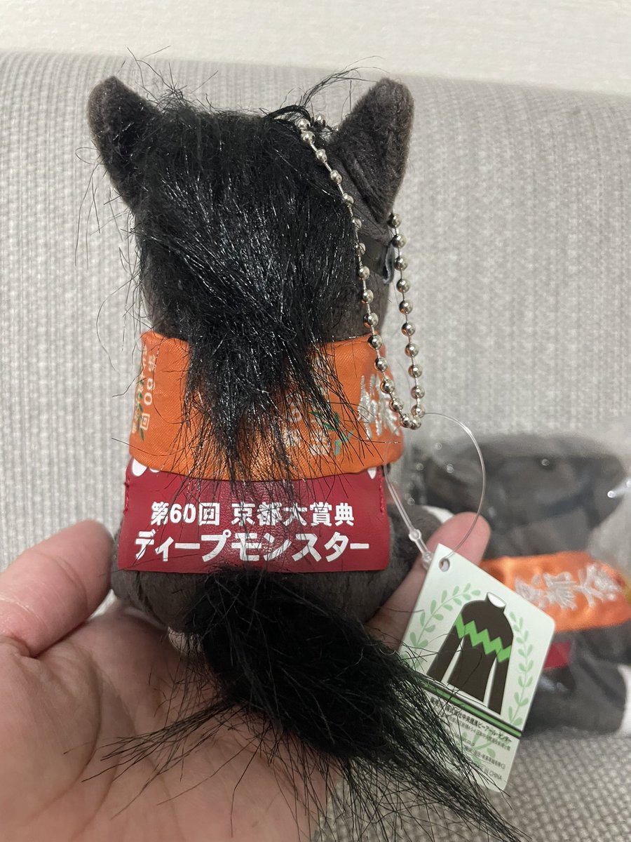 自慢していい？ ディープモンスターのアイドルホース💚🖤私の愛しの