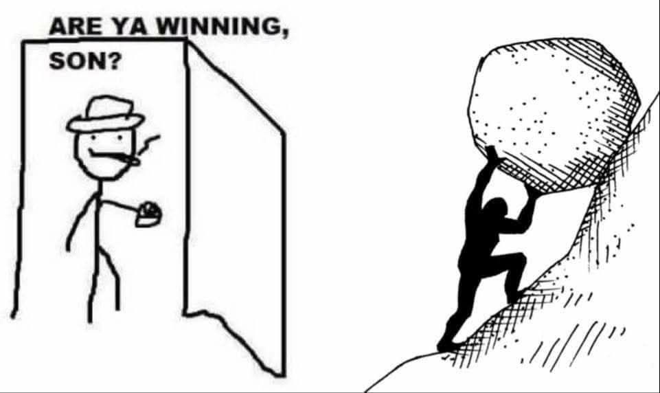 Classical Studies Memes tweet media
