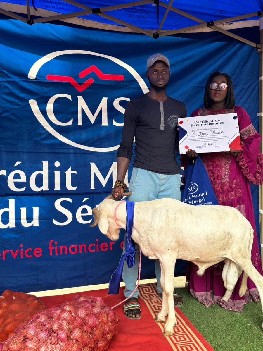 uccms_sn's tweet photo. Clap de fin pour notre jeu concours spécial Tabaski 🎉

Une belle cérémonie placée sous le signe du partage, des sourires et de la convivialité 🥳✨
Nos heureux gagnants ont reçu leurs moutons et autres cadeaux dans une ambiance chaleureuse et pleine de bonne humeur. https://t.co/qo4935aEor