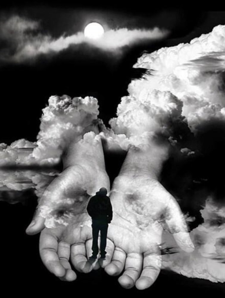 bobbirok's tweet photo. Exit strategy : plan D https://t.co/l2GtfKmxSr