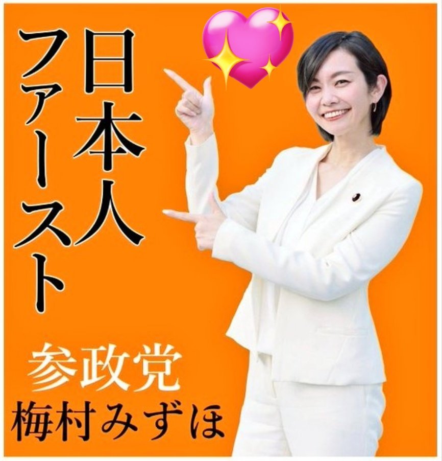 kana💗◀参政党🐦🔥相互フォロー🇯🇵護國日本 tweet media