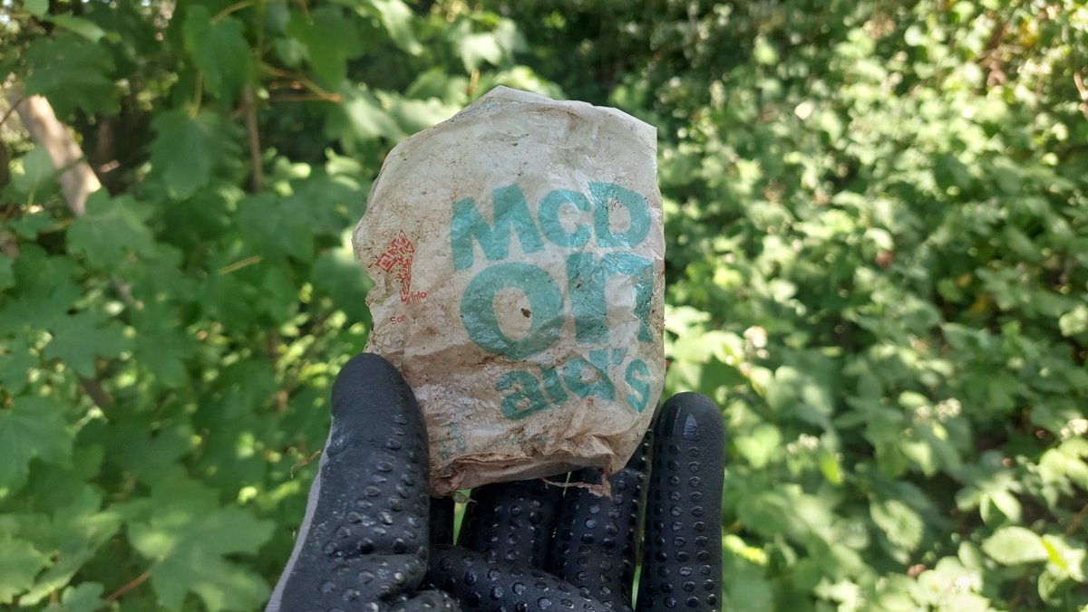 Zwerfie Rotterdam tweet media
