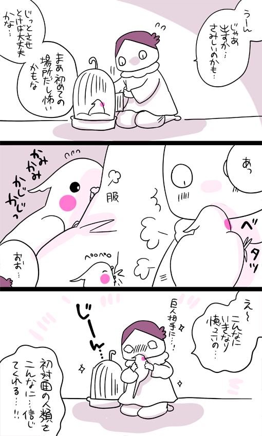 dollchka's tweet photo. お誕生日なのでお迎え当日のあわびちゃんｗ
事前に飼育書で読んだより全然平気で堂々としててつよつよで、おお！すごいもういっちょまえだ！と思ったら飛べなくて歩くのもひよひよで、あああ！！あかちゃーん！ってなった思い出ｗ
あの頃から今まで全ての瞬間が可愛い…インコ可愛いよお(*´◒`*) https://t.co/IGRSvPePKH