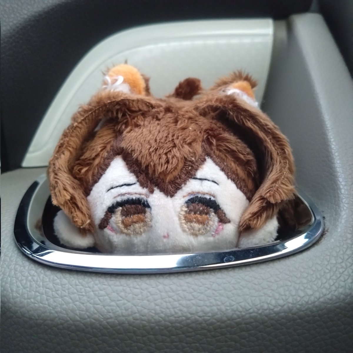 anmomi06397's tweet photo. チラッ👀 https://t.co/PTcF5W4PLa