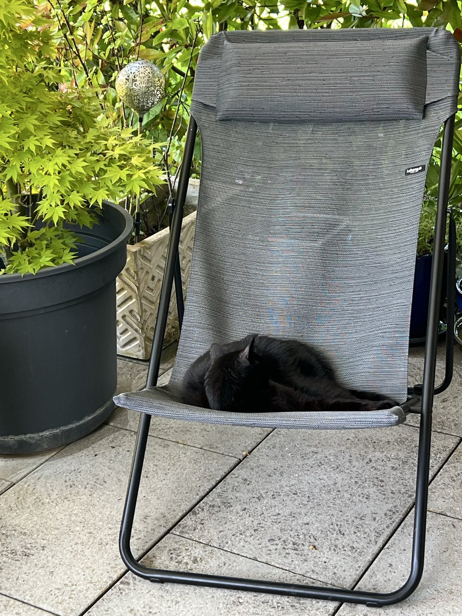 Betty und🐱Imi🐾🐾 tweet media