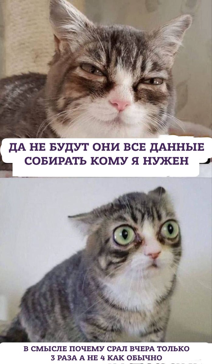 Лентач tweet media