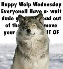 astaxol's tweet photo. happy wolp wednesday :3 https://t.co/Vkvmv383rp