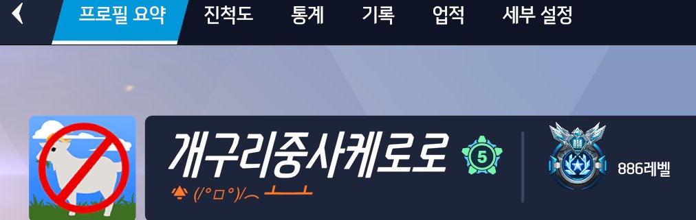 지존 tweet media