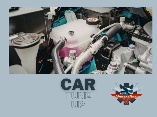 TrueBlueAutoAZ's tweet photo. Regular tune-ups are key to keeping your vehicle running smoothly and helping prevent costly repairs down the road. 🔧  Call us to learn more! 
📞 (623) 972-5823

💻 https://t.co/ymnc0YU799

📍 10111 N El Mirage Rd #9, El Mirage, AZ, 85335 https://t.co/5A389zPIfj
