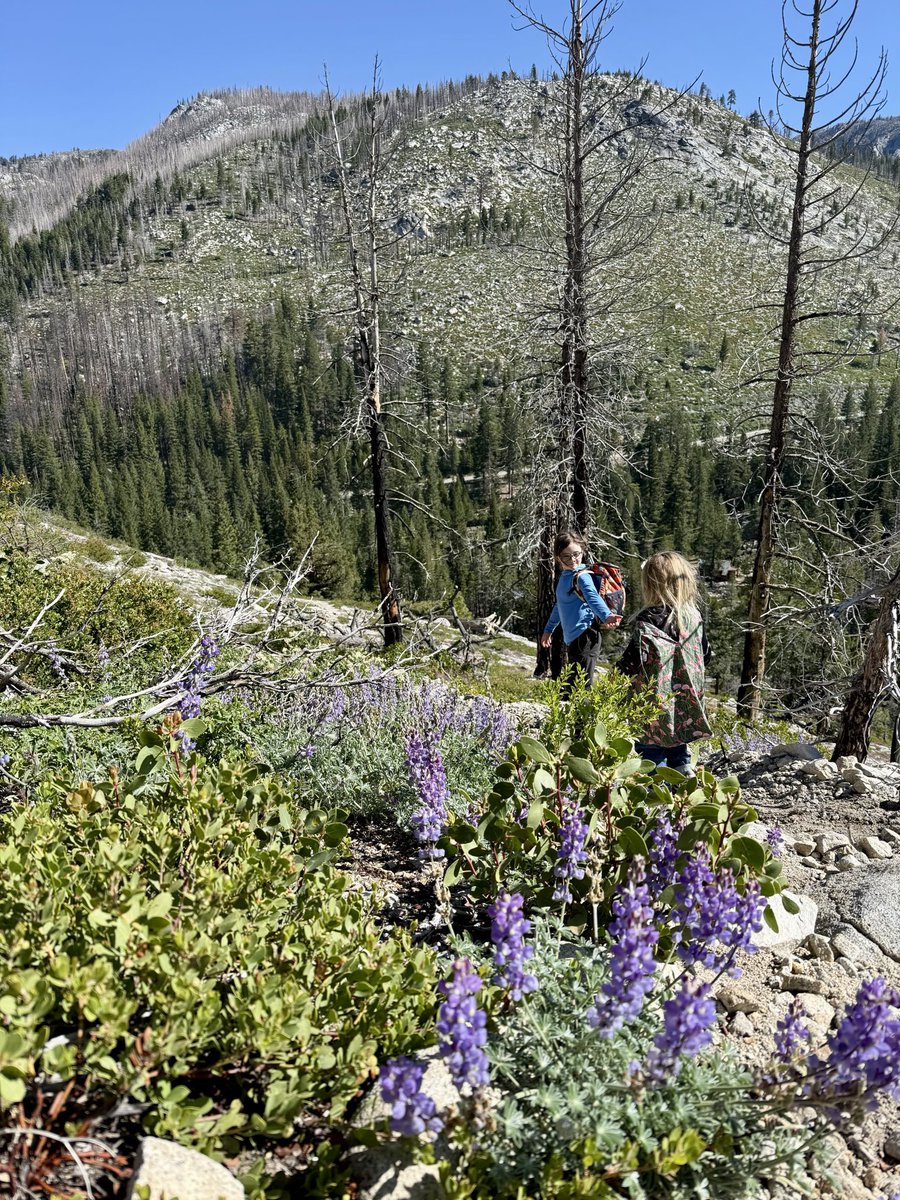 Alex Honnold tweet media