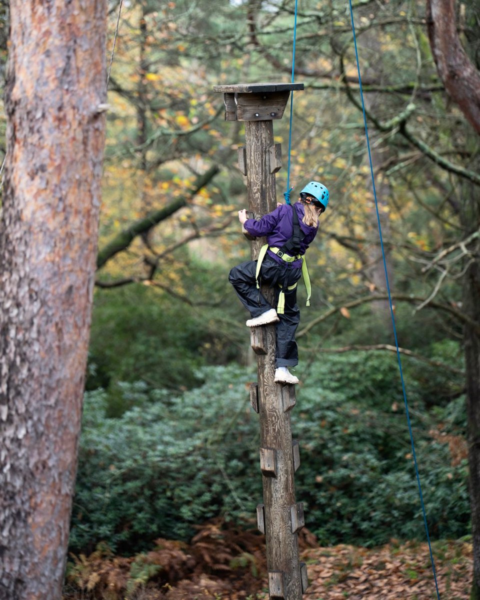 AvonTyrrell's tweet photo. High Ropes. Tree Top Trail, Climbing Tower. Zip Wire across the lake. 🪢🌳🧗
Our off-ground sessions at Avon Tyrrell are 60 or 90 minutes of adventure for all ages and abilities. 

Book online or drop in. 
👉 https://t.co/pFpKWx2aGq https://t.co/mURKpM3EI6