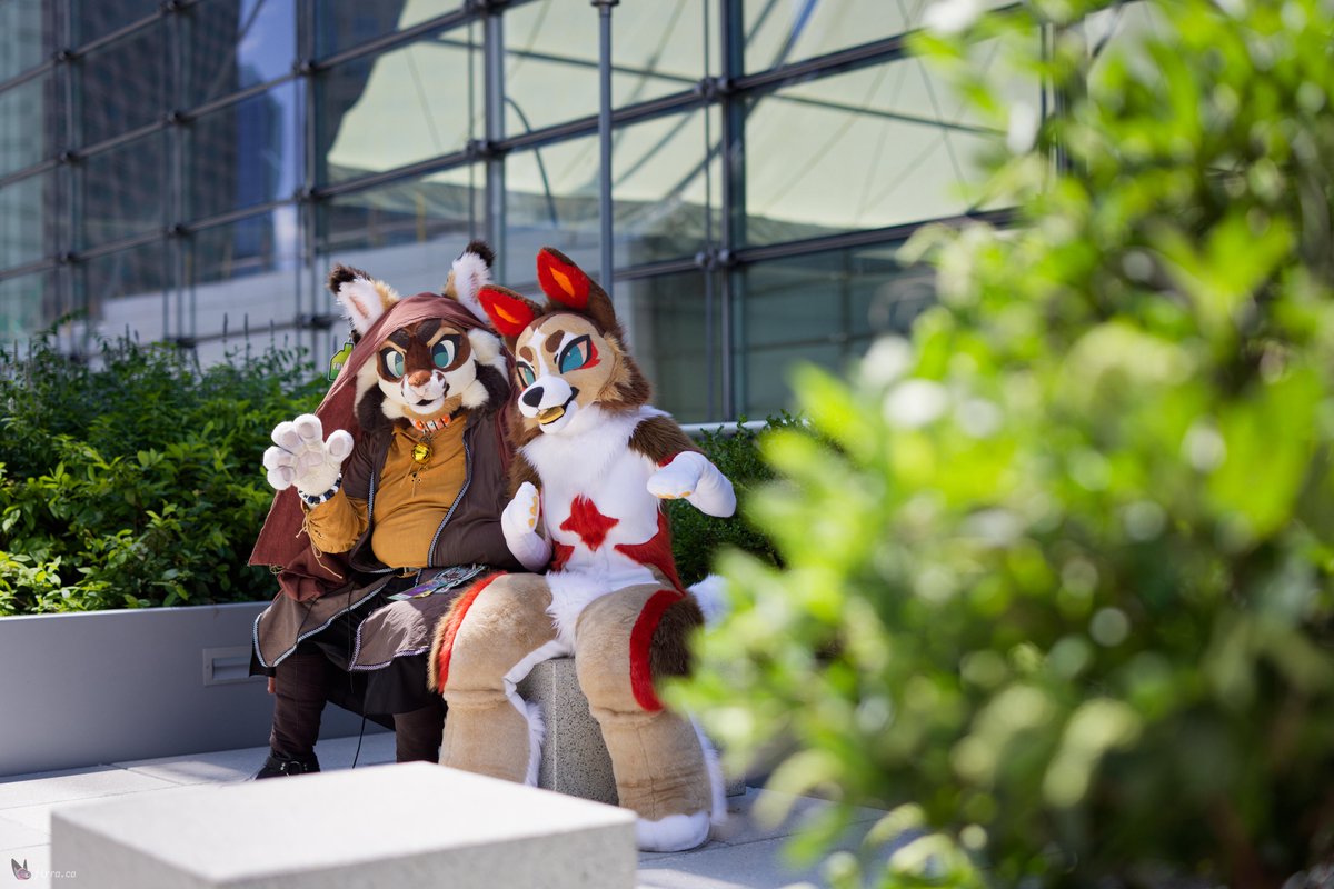 kurenjiworkshop's tweet photo. Was just given a pretty heavy quote for top surgery,  so..... 
Interested in joining the KW fursuit family? 

Now might be your chance ..... Opening up an auction for ONE fursuit slot to be completed within the next 6 to 7 months! 

Link down below! https://t.co/oyUgbjeAJV