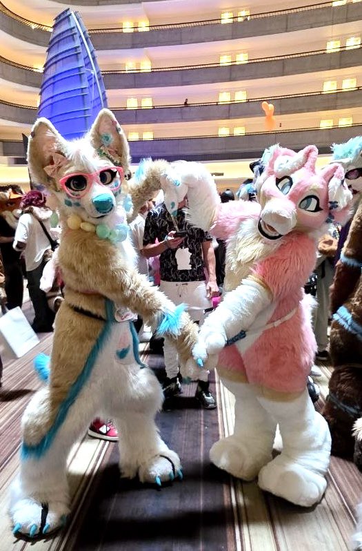 CorgiCc's tweet photo. Me &amp; my favorite pink puppy! @springpubby always amazing to get to see you at a con buddy!💖✌️🎉💫😋
#ccthecorgi #fwa #fwa2026 #furry #furryfandom https://t.co/5117fMHO8f