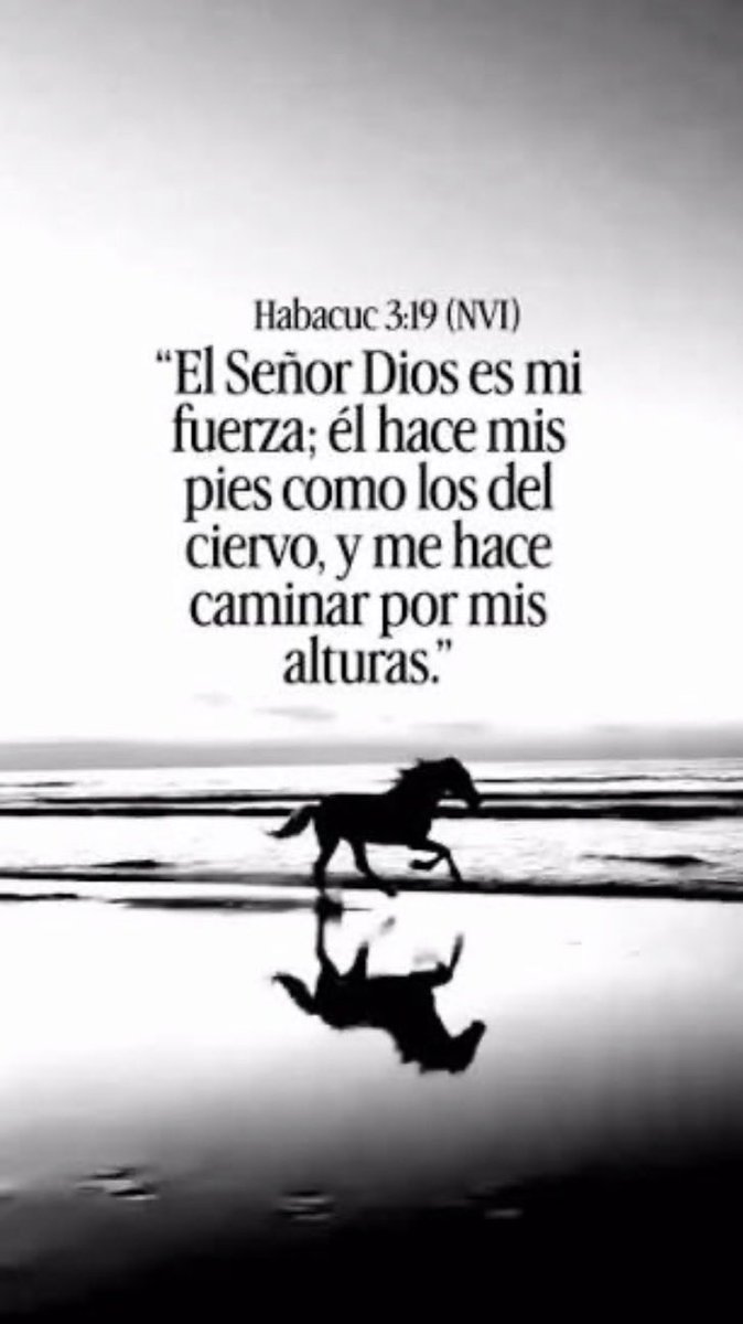 Maria_Mer_PD's tweet photo. @ABDELAESPRIELLA @millersoto @PalomaValenciaL Gracias Abelardo por tu gran ejemplo de humildad y grandeza, por enseñarnos que “si te tiran piedras, haces una escultura con ello y la vendes caro”. Con la ayuda de Dios serás nuestro presidente, pido que El te fortalezca y prepare tus pies de ciervo para caminar en las alturas https://t.co/zWD3F9ZLXz