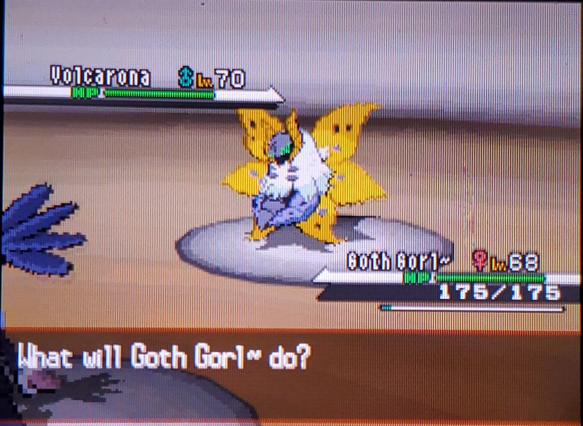 baass_d's tweet photo. Shiny Volcarona in White after 13,001 SRs! Really cool number and an even cooler find! Caught it in the first quick ball :) #shinypokemon https://t.co/paASLF7gm2