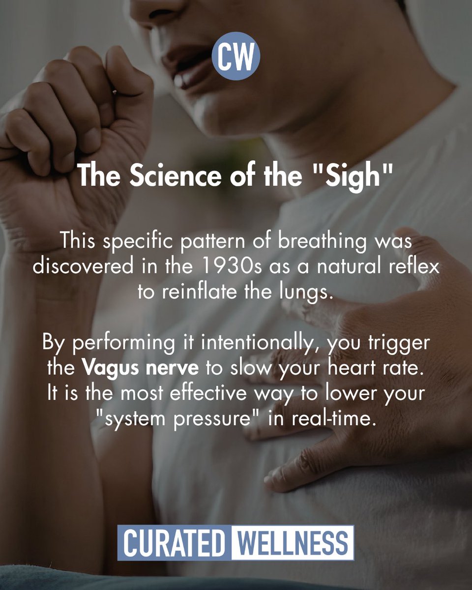 CuratedWellness's tweet photo. When you're stressed, telling yourself to "relax" is a waste of time. Your biology is screaming "danger" because your CO2 levels are spiking and your lung sacs are collapsing. You can't think your way out of a chemical state.

Swipe through to learn how each step connects. Read full blog at https://t.co/atlRM6K9as

#StressManagement #Biohacking #VagusNerve #Breathwork #MentalHealthTips #CuratedWellness #PhysiologicalSigh #NervousSystemRegulation #WellnessHacks #AnxietyRelief