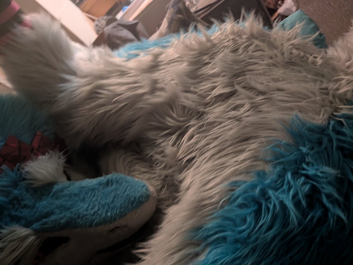Rascal (@fluffarian) / Posts / X