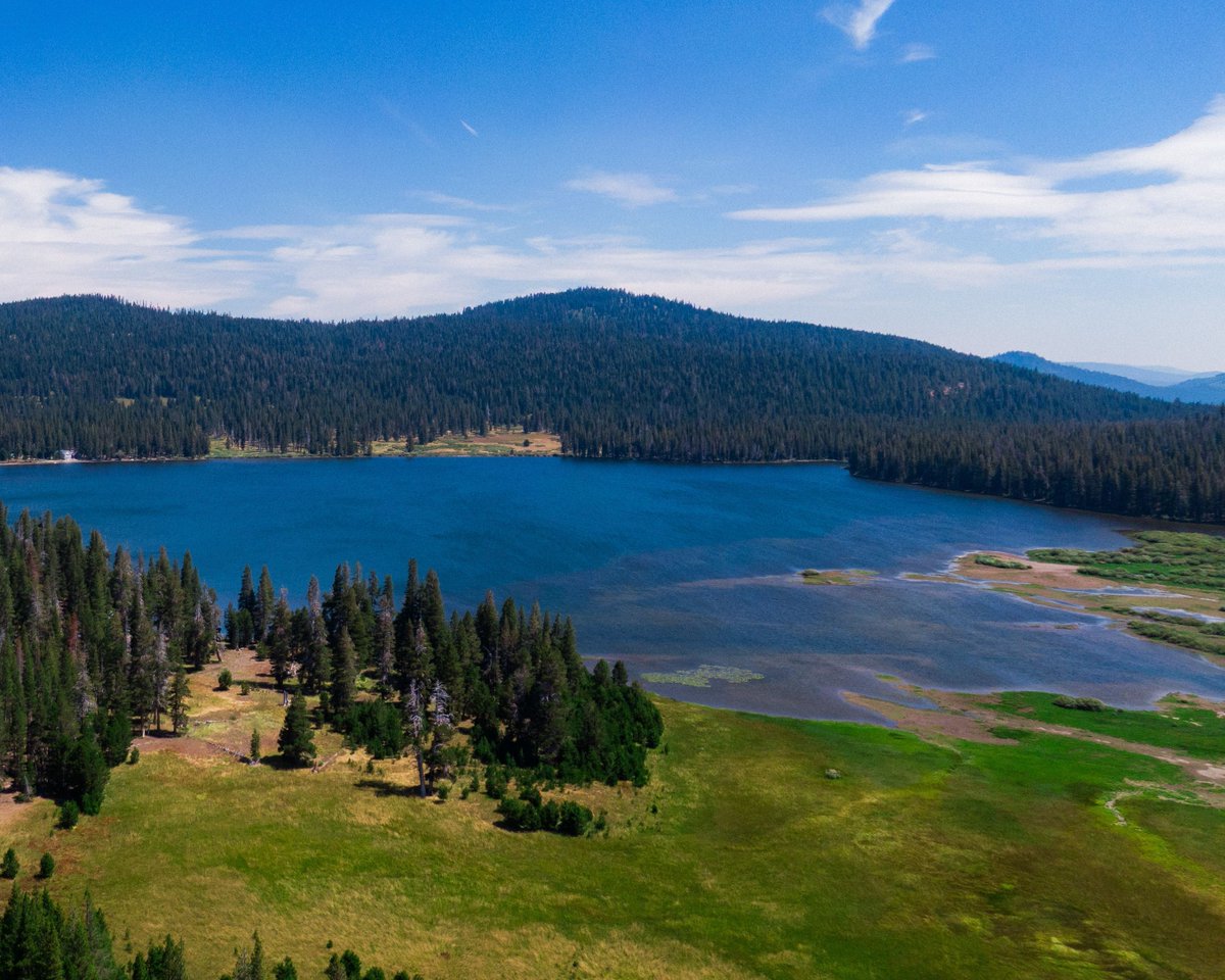 CAsWatershed's tweet photo. Forest restoration near Webber Lake helped protect the Little Truckee River headwaters, an important source of water for California and northern Nevada, while improving forest health and wildfire resilience. Little Truckee River Headwaters Story: https://t.co/pvYGeNepym https://t.co/EWDBATWUCD