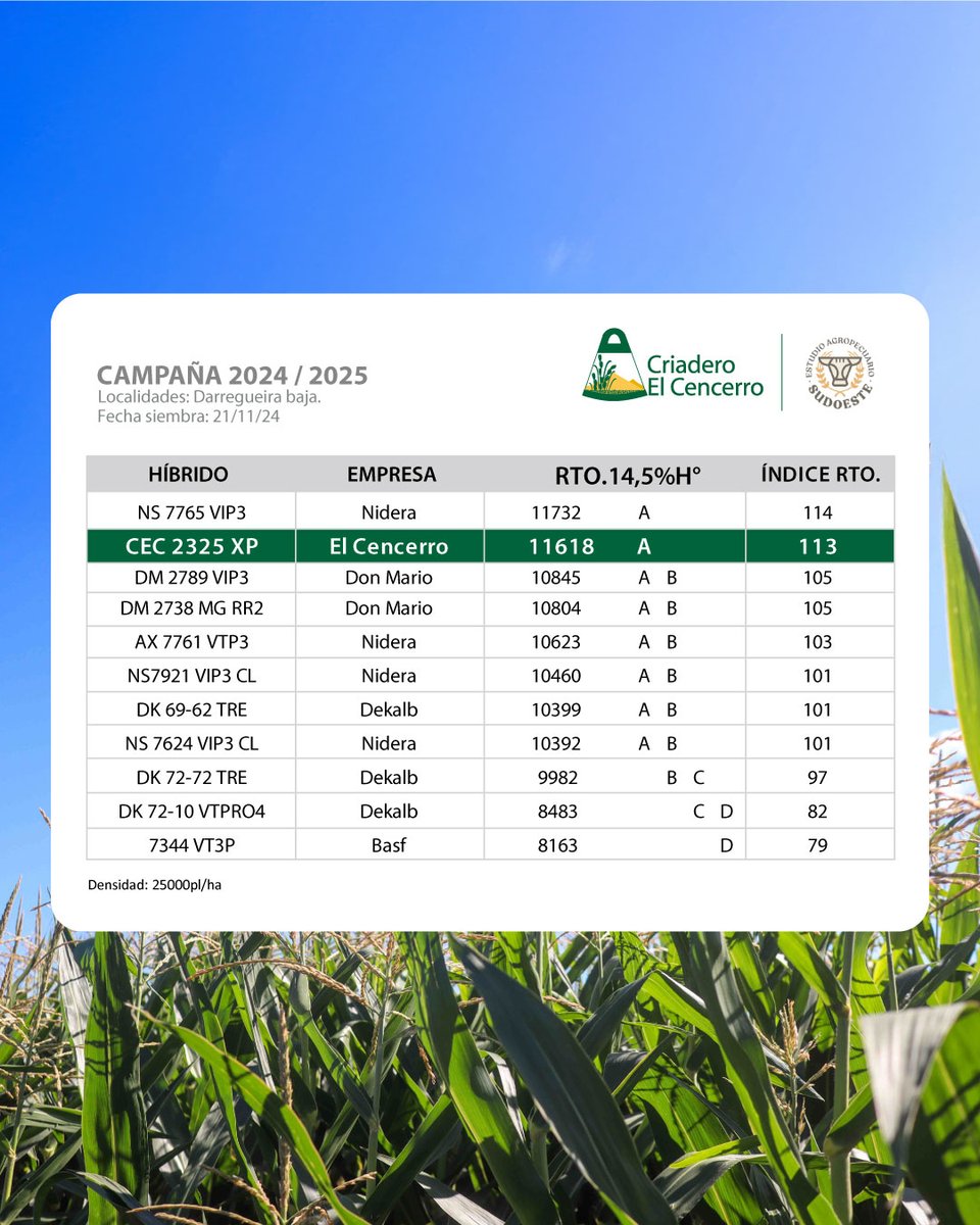 CECencerro's tweet photo. 🌽 Compartimos resultados de los #EnsayosComparativos realizados junto a #EstudioSudoeste en la zona de Darregueira.

📍 Información generada a campo, en ambientes reales de la región, para seguir evaluando el comportamiento de nuestro #MaízHíbrido CEC 2325 XP.

👉 Consultanos https://t.co/tr2YUUeKYY