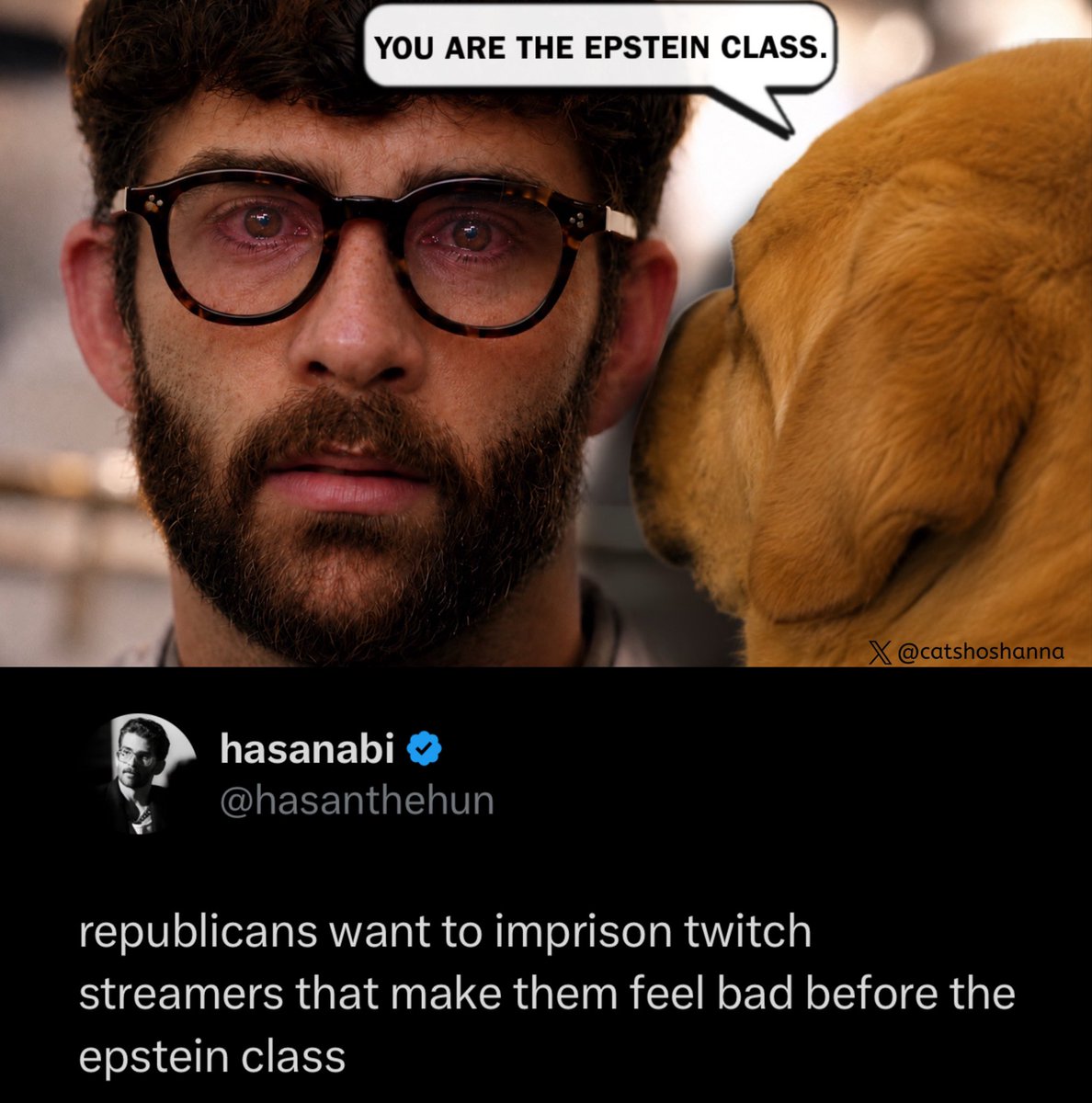 Caт 🐝 tweet media