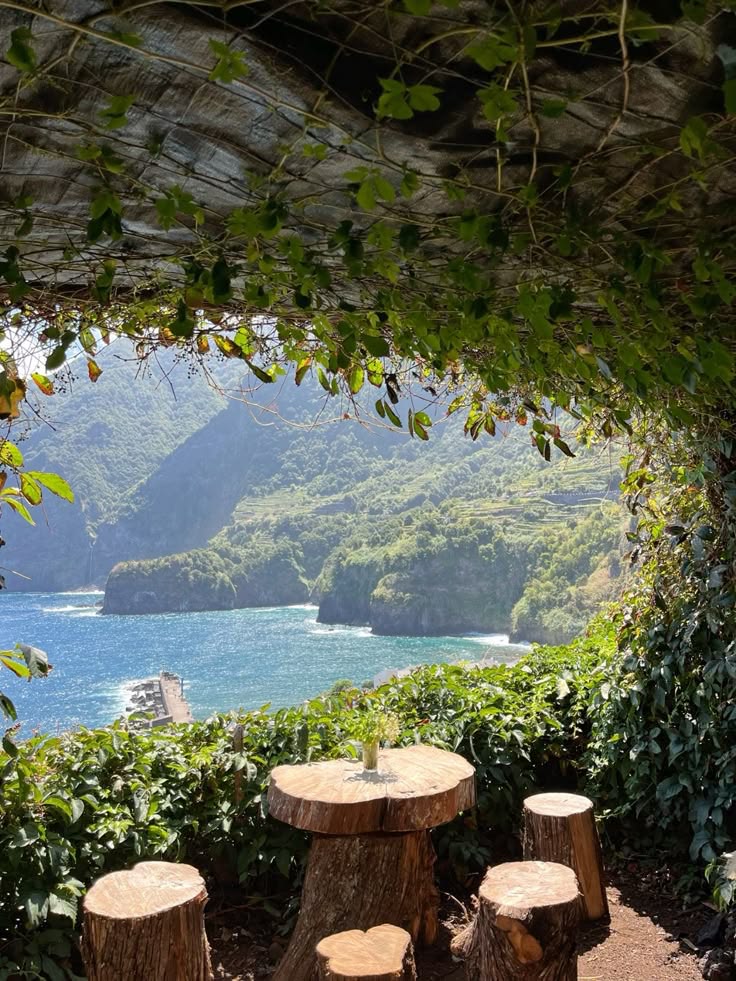 beautyexplorer0's tweet photo. Madeira, Portugal https://t.co/lhfBd2tMqB