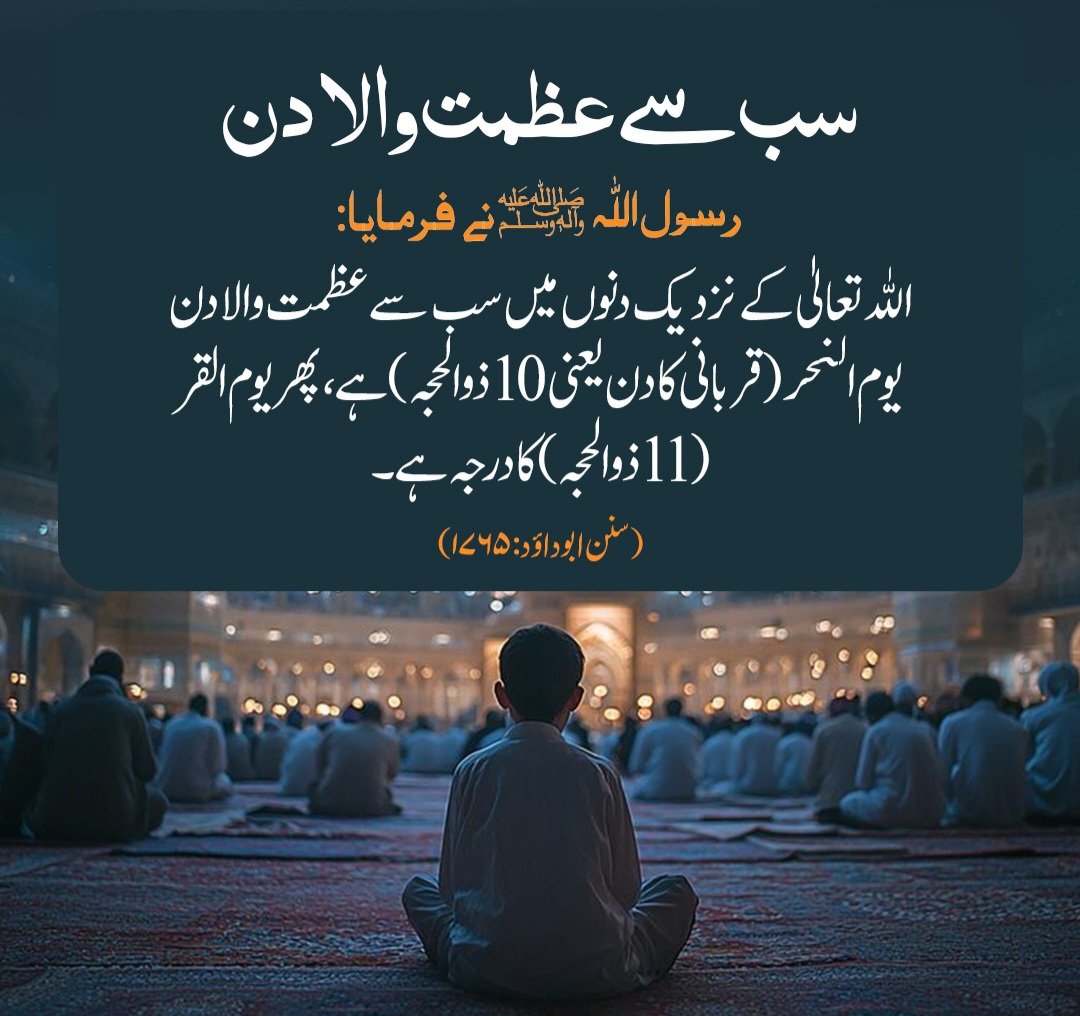 BILAL JAVED tweet media