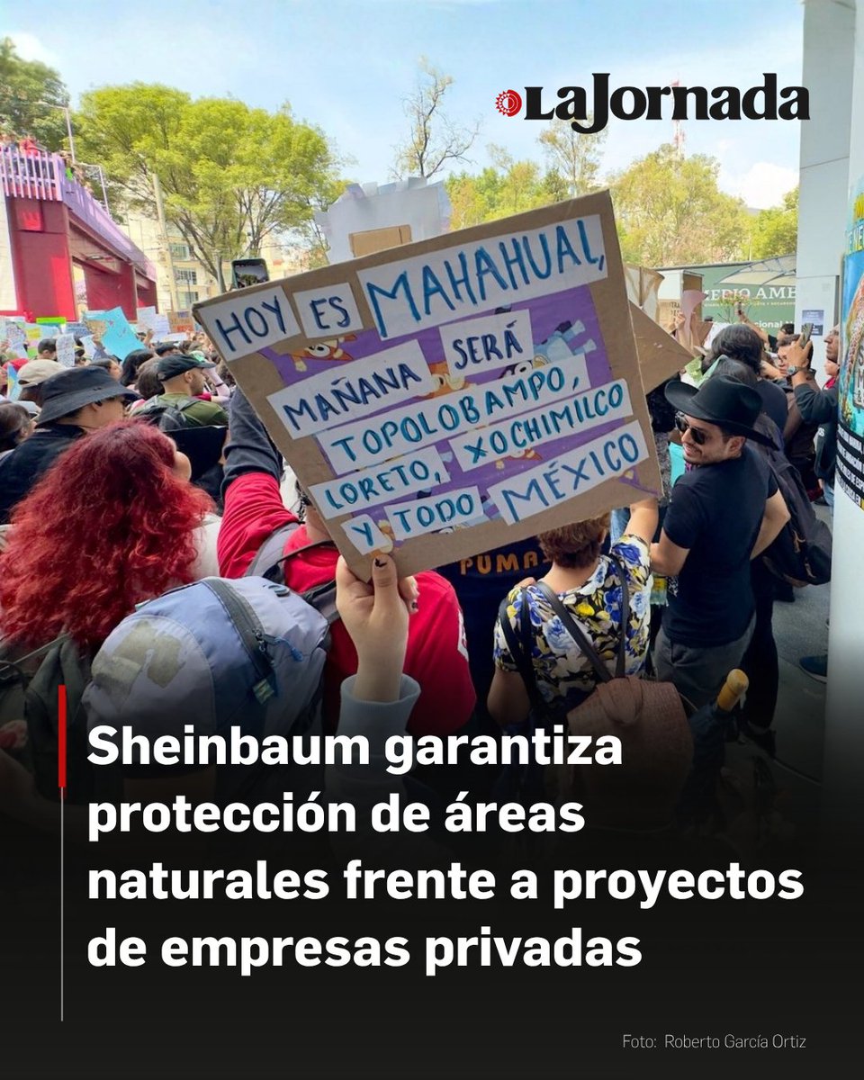 La Jornada tweet media
