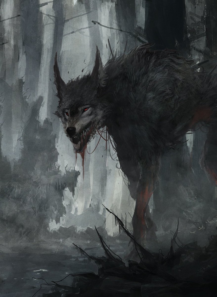 Eyardt's tweet photo. - Wolfgrave Project -
Meeting a wolf https://t.co/EggIaRnZsd