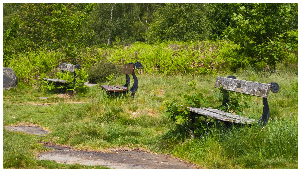 jpdewhirst's tweet photo. Shipley Glen benches. #Bradford https://t.co/VsveGYI5O4