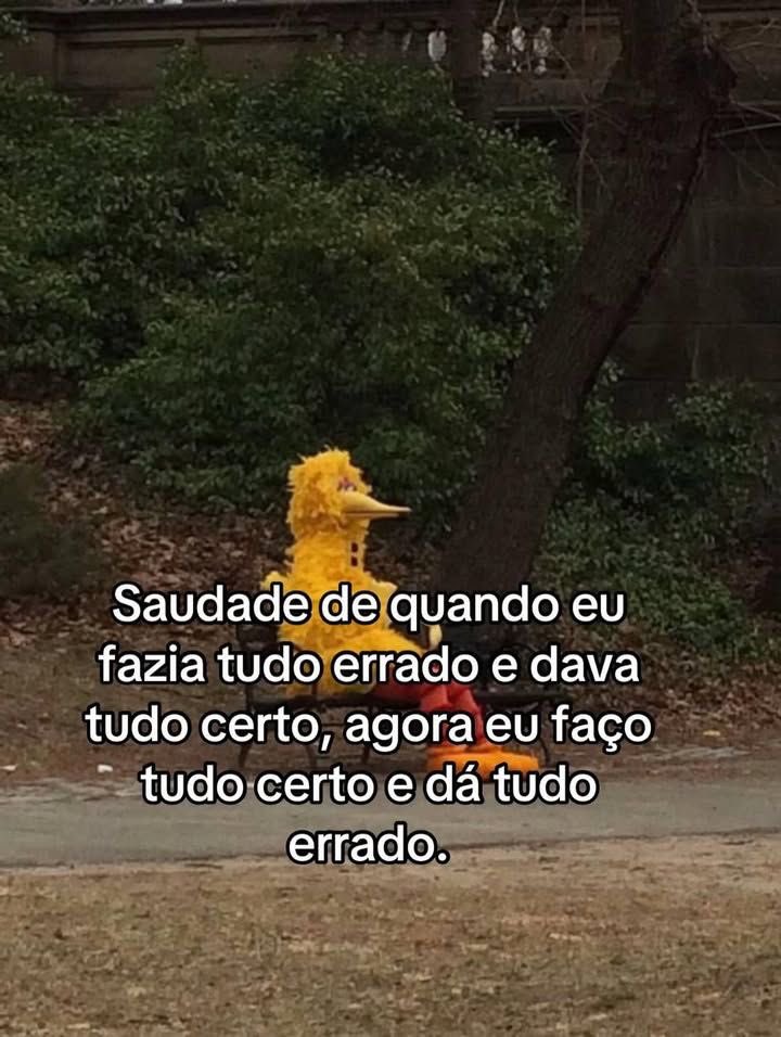 Pagina lixo tweet media