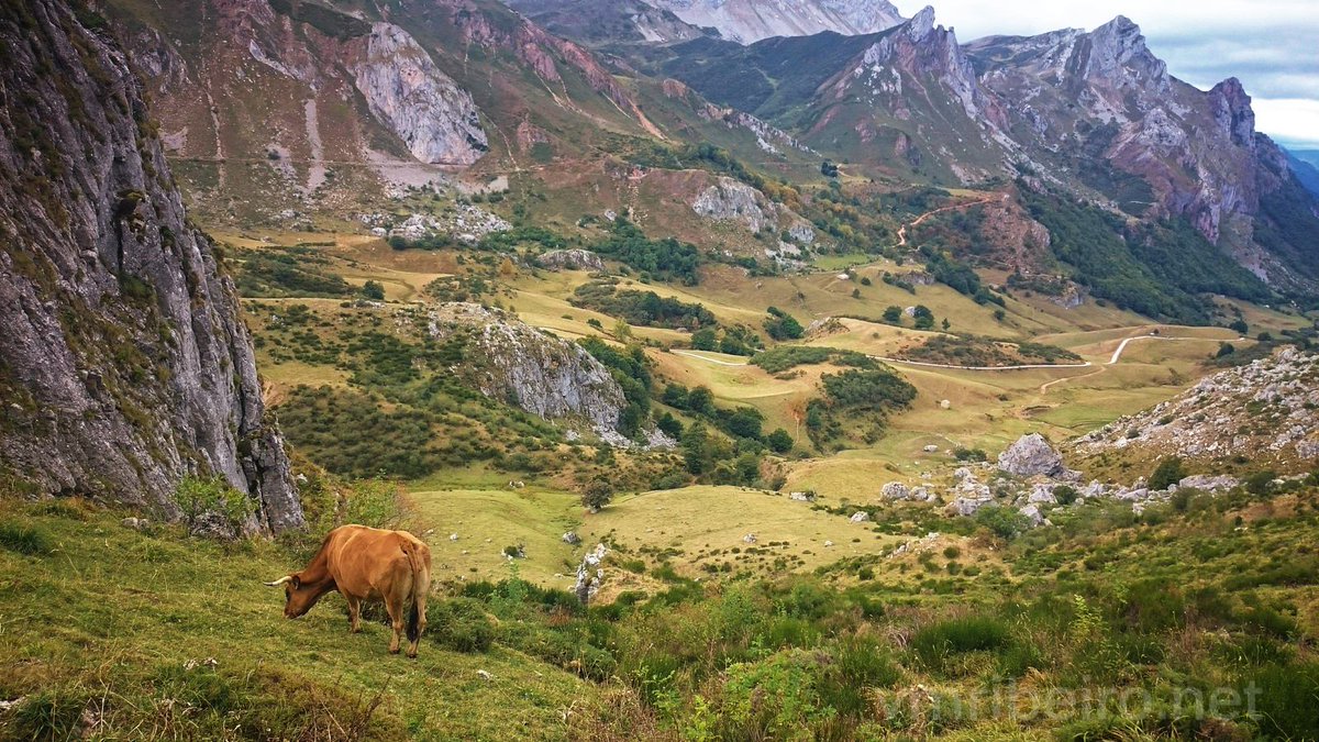 vrfoto's tweet photo. Silêncio de altitude.
A vida a pastar entre vales e rocha.
#Photography #somiedo #asturias #mountains #pastoral #landscapephotography https://t.co/Voz1uLK3QT