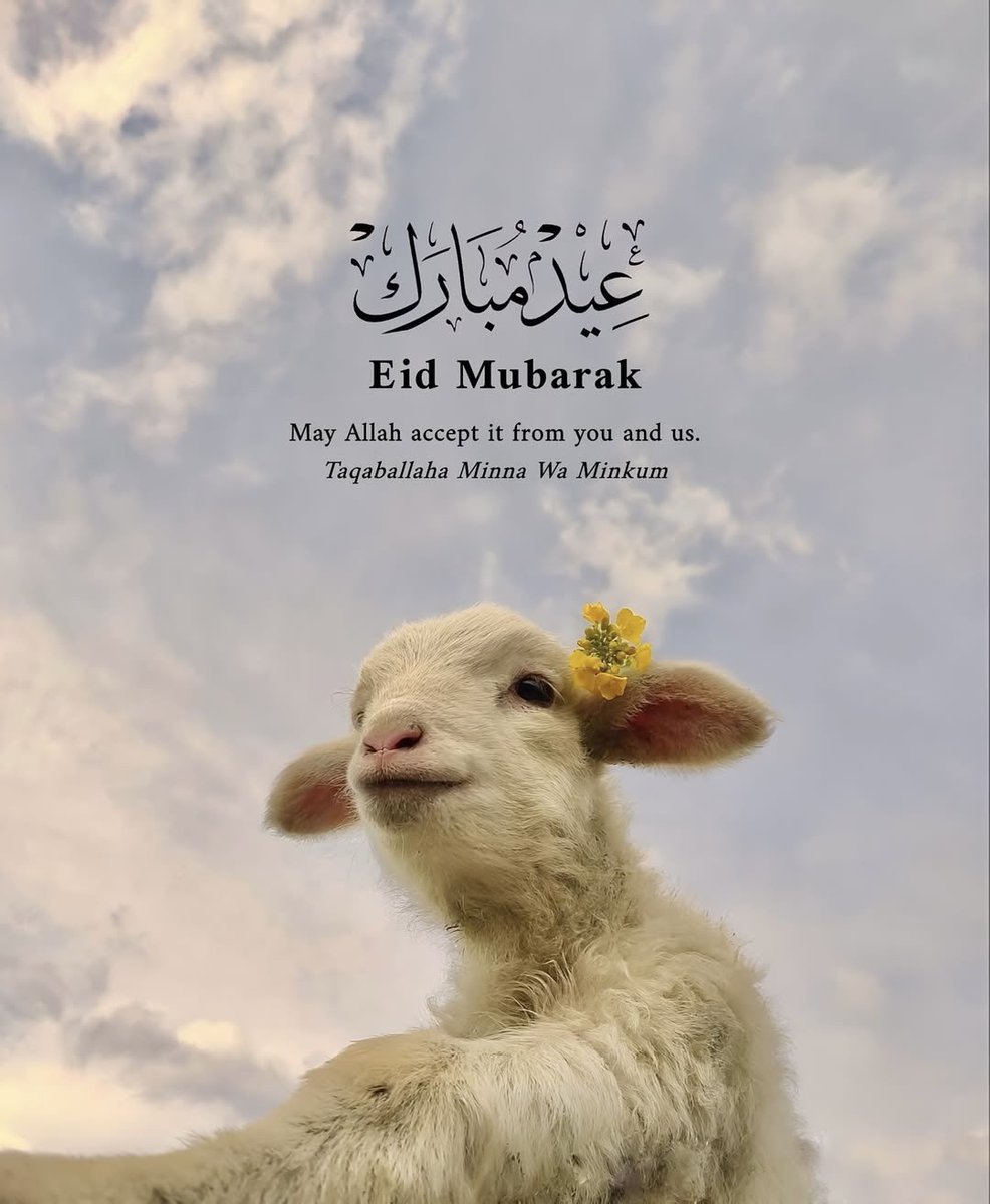 Allah Islam Quran tweet media