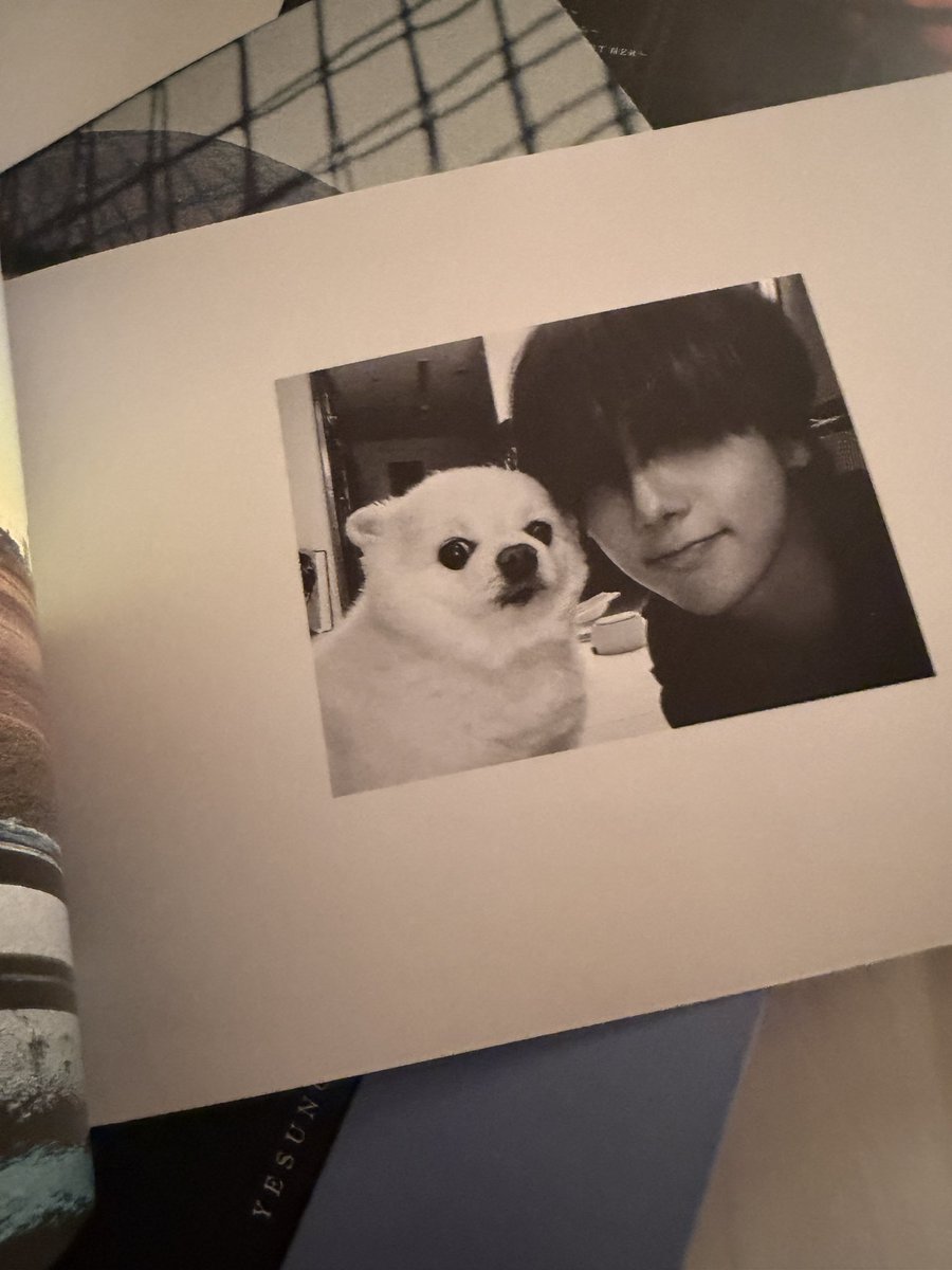 Yesung tweet media