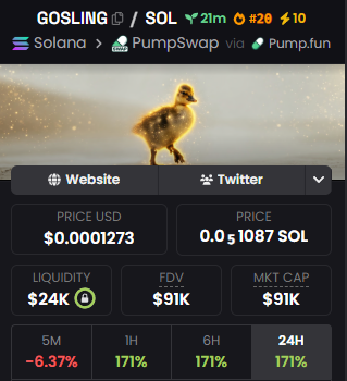 patrickdontfun's tweet photo. Analyzed the top 30 $GOSLING holders and revealed who’s actually behind the project

Now the next direction is easy to read

Full breakdown is in my Telegram (link in bio)

DSwHWYXTvQtTQPnfAqKdVMtLUKzTCRzne49e6maxpump https://t.co/JEajzaFIwz